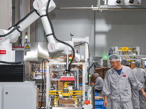 海口高新區企業雨帆乳業 創建五化工廠，將綠色圖強融入企業DNA